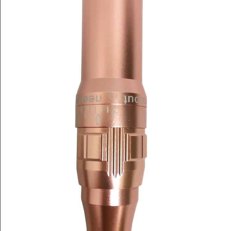 BoLin permanent makeup machine supplier for training school-3